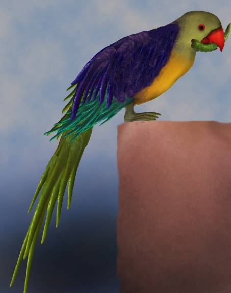Creation of Parrot: Step 5